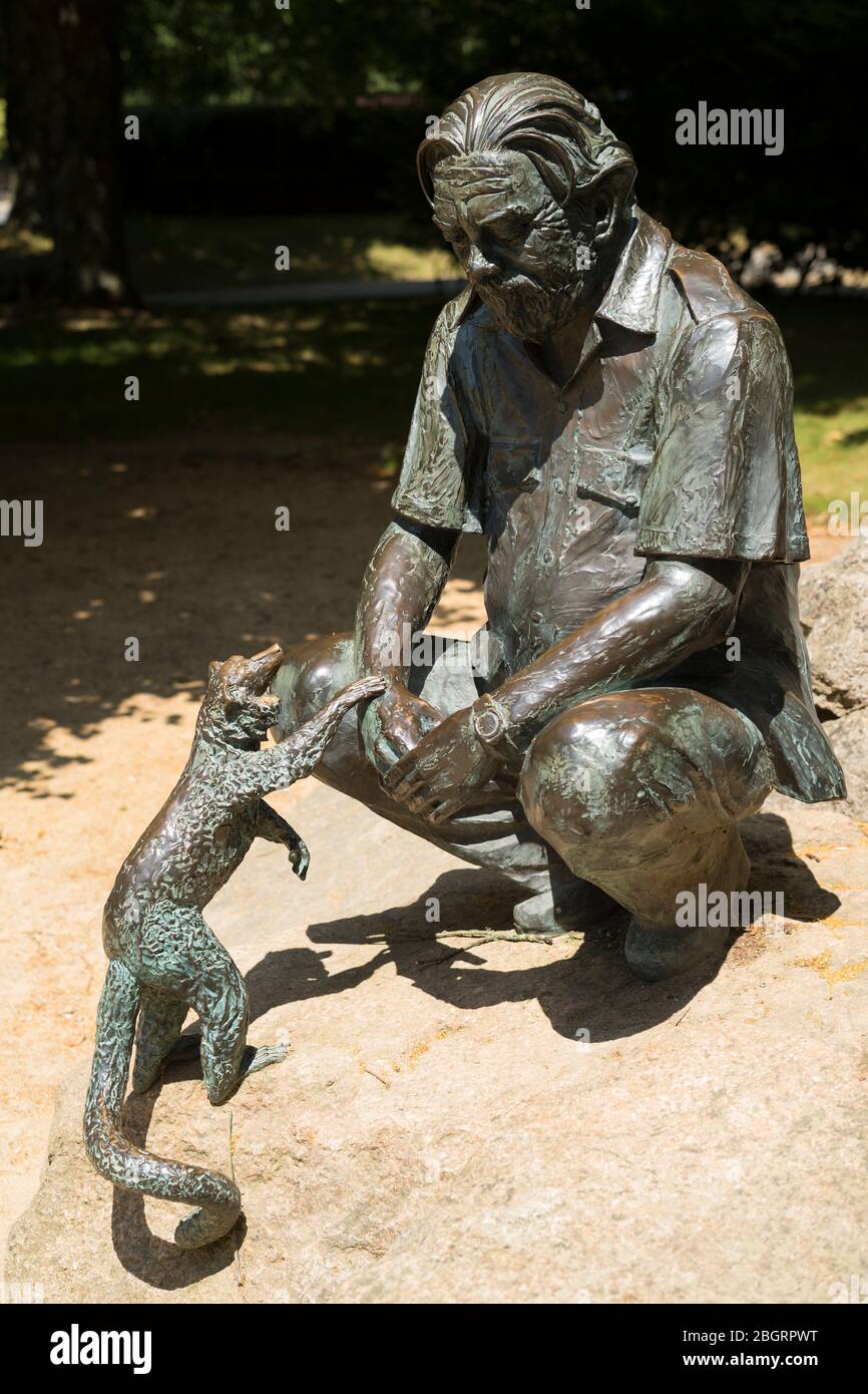 Estatua de bronce de Gerald Durrell, naturalista y autor, con un coati en el zoológico de Jersey - Durrell Wildlife Conservation Trust, Channel Isles Foto de stock