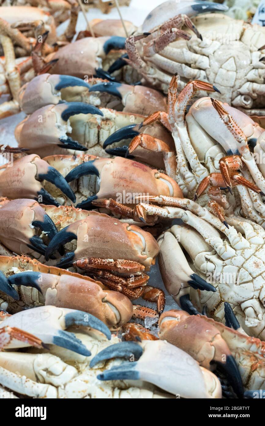 Cangrejo fresco, crustáceos decapodos, mostrando garras de cangrejo a la venta en el mercado de pescado St Helier en Jersey, Channel Iles Foto de stock
