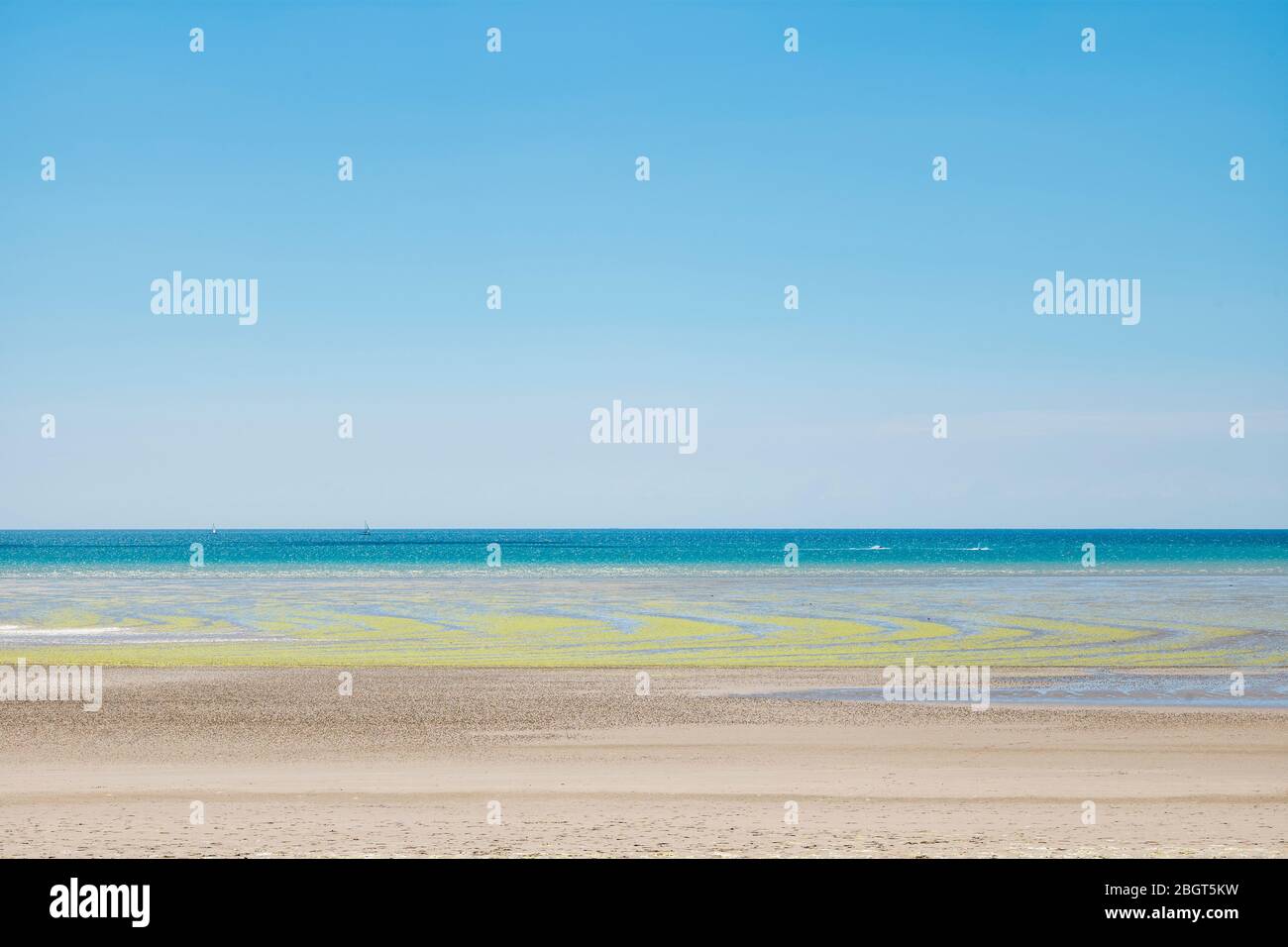 Algas formando formas geométricas en la playa de arena en St Aubin's Bay, Jersey, Channel las Isla Foto de stock