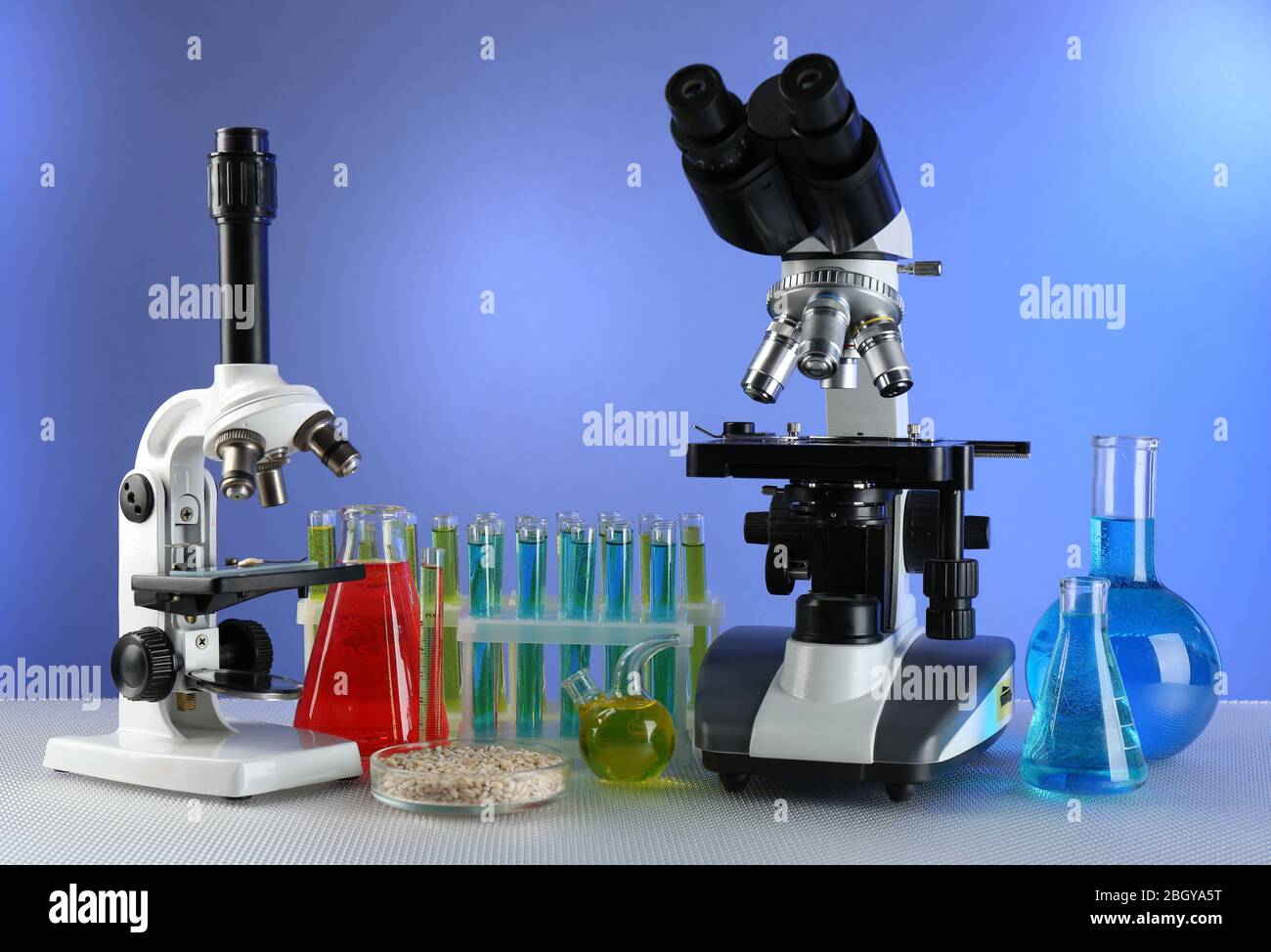 Microscopios, placa Petri con muestras de grano y tubos de ensayo sobre mesa, sobre fondo de color Foto de stock