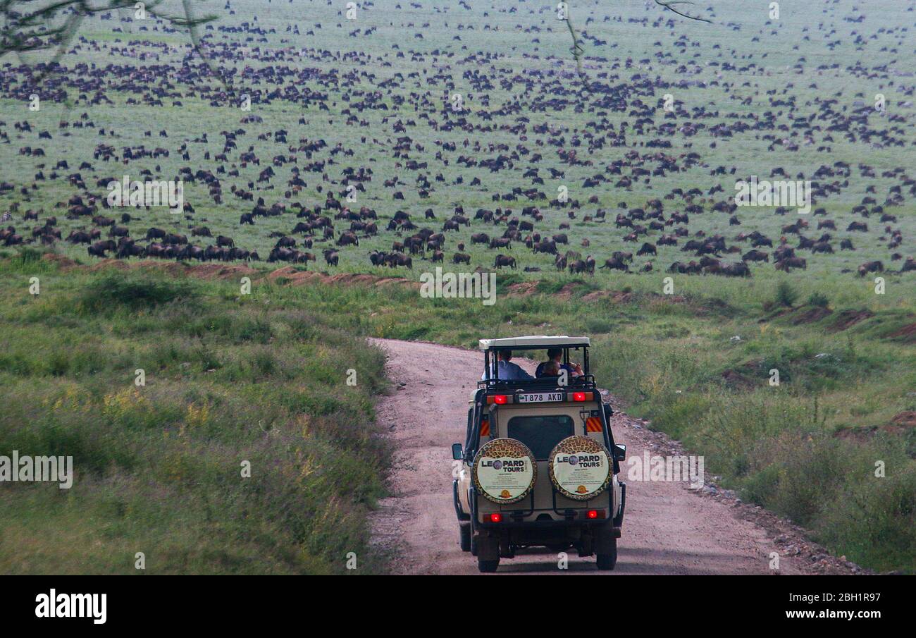 África, Tanzania, el Parque Nacional del Lago Manyara turistas en un safari en jeep mirando la vida silvestre Foto de stock