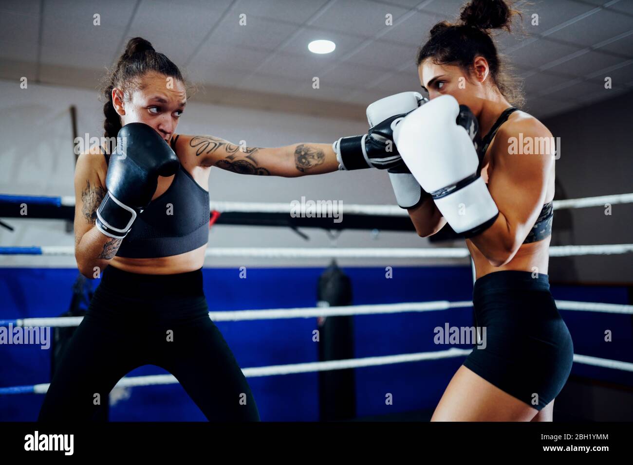 Boxeadores femeninos brillan en el ring de un club de boxeo Foto de stock