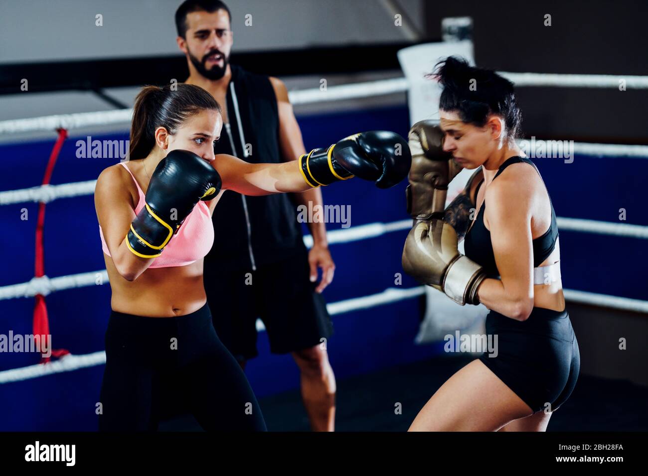 Boxeadores mujeres brillando en el anillo de un club de boxeo, vigilados por el entrenador Foto de stock