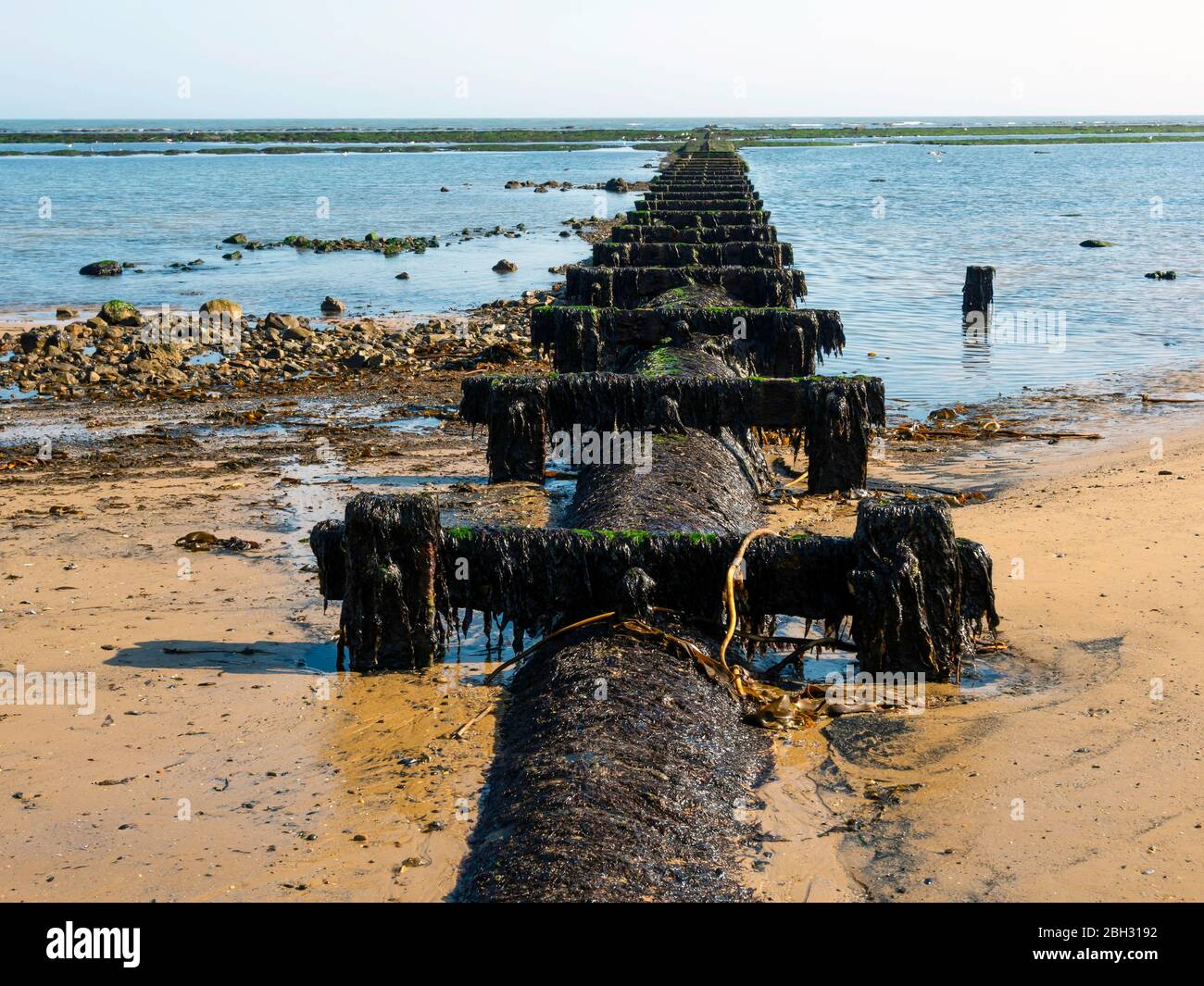 Detalle de aguas residuales de 20C temprano o tubería de salida de agua de tormenta expuesta a marea baja protegido por el revestimiento de hormigón y barras transversales Foto de stock