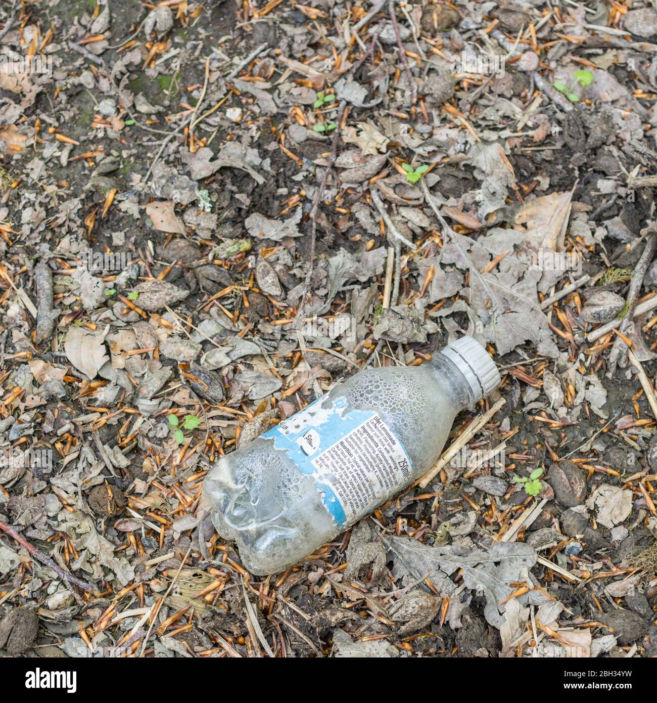 Vacíe la botella de refrescos en el lado de la tranquila calle del