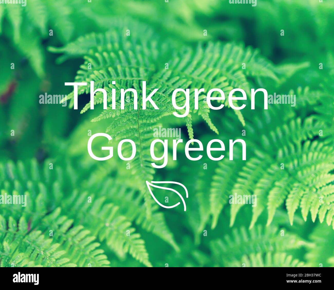 Cita tipográfica inspiradora – piensa en verde ve verde, sobre un fondo de helechos boscosos. Foto de stock