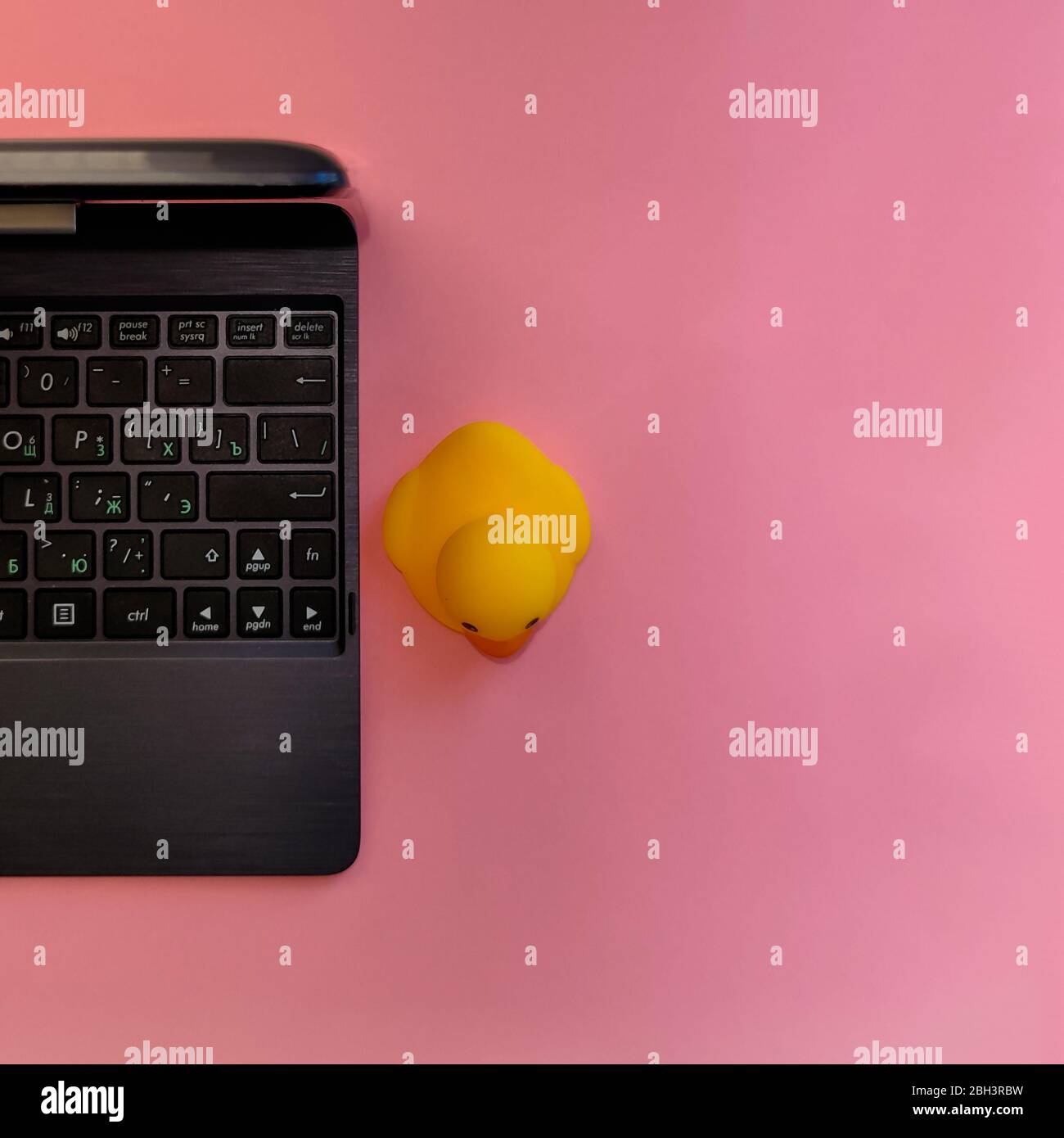 Pato de goma amarillo cerca del teclado del portátil. Juguete del  programador. Ilustración del método de depuración de código. Un pato en uso  por un desarrollador para ayudar a la revisión de