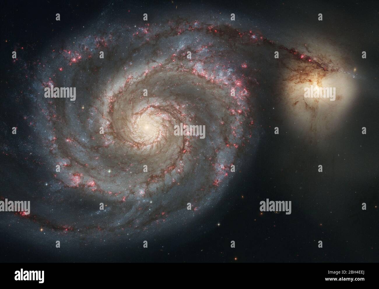 Tomada en enero de 2005 con la cámara avanzada para estudios (ACS) del Telescopio Espacial Hubble ilustra el gran diseño de la galaxia espiral M51 (NGC 5194), desde sus brazos espirales en curva, donde residen las estrellas jóvenes, hasta su núcleo central amarillento, hogar de estrellas más antiguas. La galaxia es apodada el Whirlpool debido a su estructura de remolinos. La característica más llamativa del Whirlpool son sus dos brazos curviantes, un sello distintivo de las llamadas galaxias espirales de diseño grandioso. Foto de stock