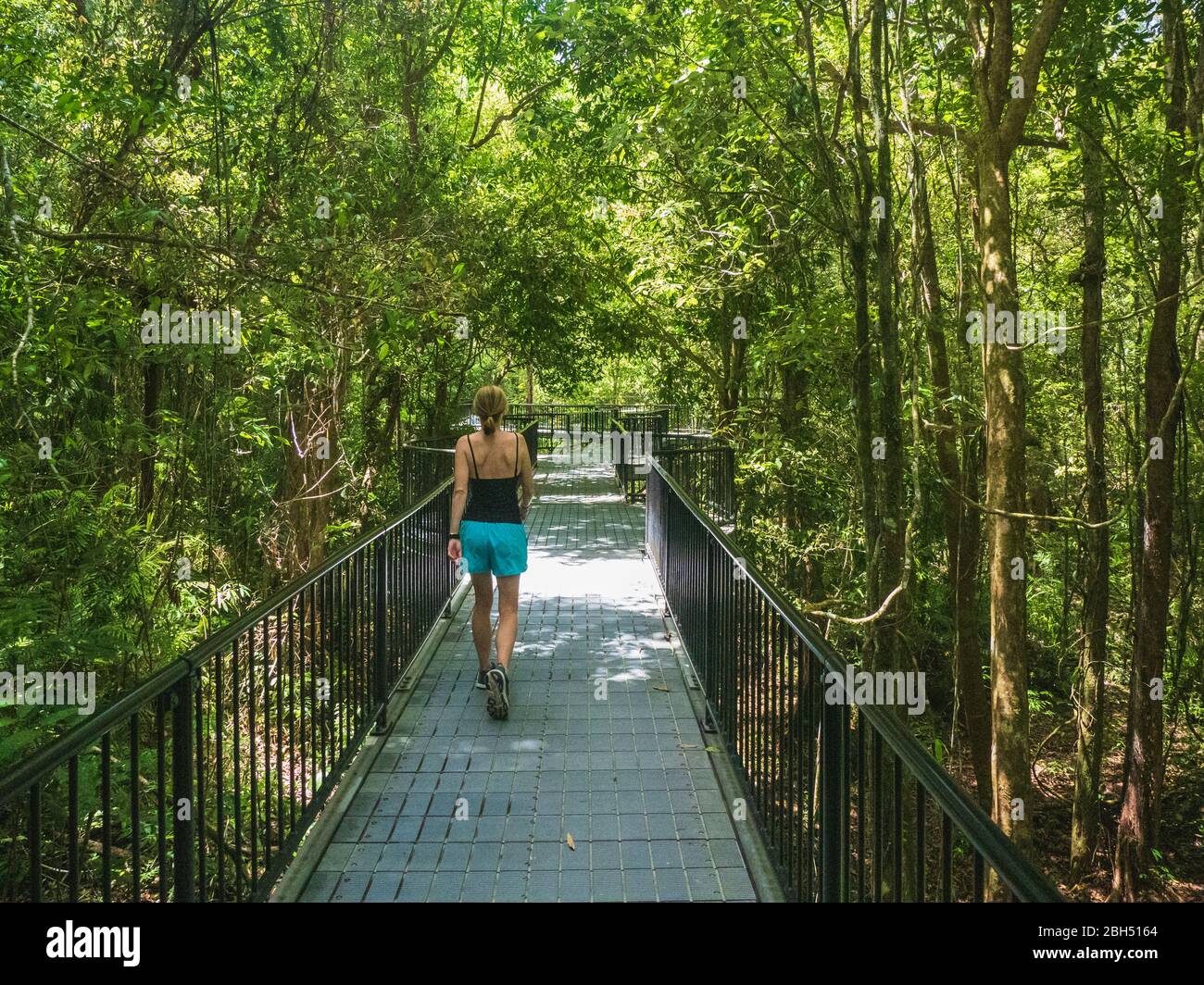 Mujer caminando por el sendero en el bosque Foto de stock