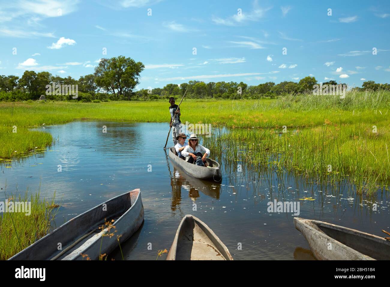 Turistas que son poled en mokoro (canoa de gota), el delta del Okavango, Botswana, África Foto de stock