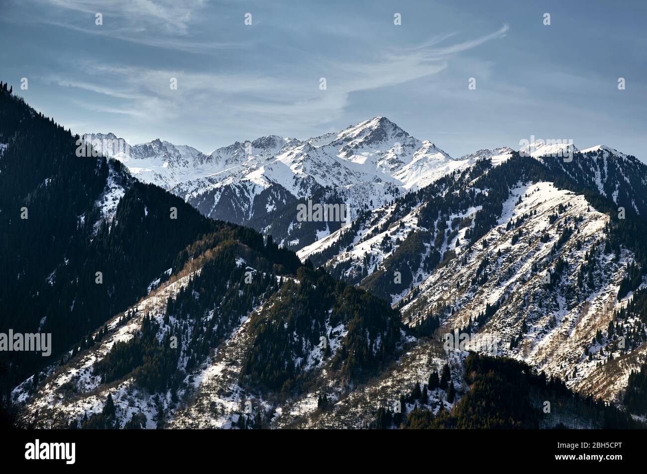 Altas montañas con nieve y pinos y pico contra el cielo azul en Kazajstán en época invernal Foto de stock