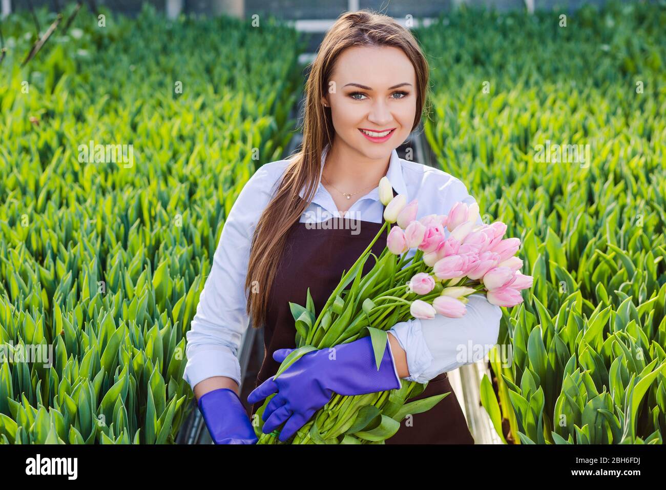 Mujer jardinero florista sosteniendo un ramo de flores, de pie en un invernadero, donde los tulipanes cultivar Foto de stock