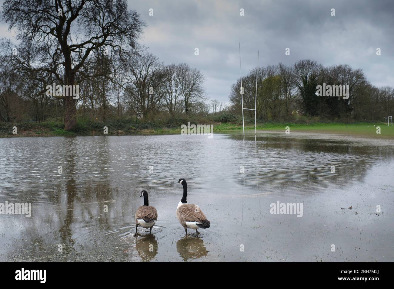 Campos de juego inundados, Rocks Lane, Barnes London Foto de stock
