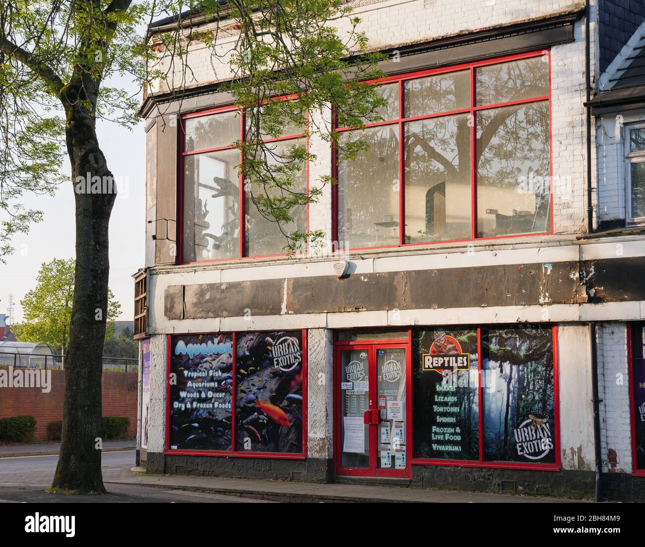 KIRKBY EN ASHFIELD, INGLATERRA - ABRIL 24: Tienda de animales exóticos/mascotas británica, temprano por la mañana. En Kirkby en Ashfield, Nottinghamshire, Inglaterra. El 24 de abril Foto de stock