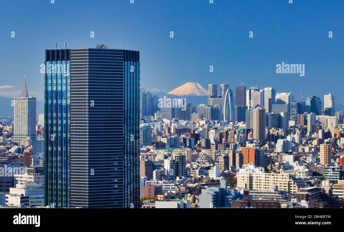 Japón, la ciudad de Tokio, el horizonte de Shinjuku y el Monte Fuji Foto de stock