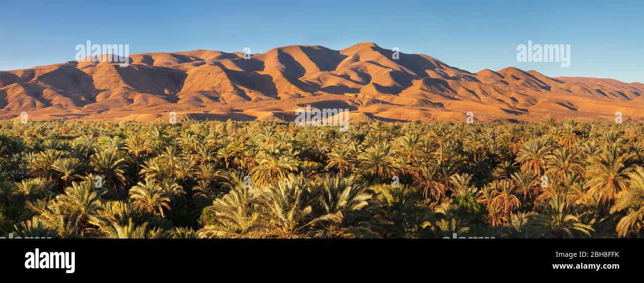 Valle del Draa, Montañas del Atlas, Marruecos meridional, al-Maghreb, África, Foto de stock