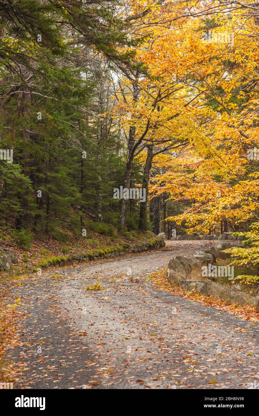 Estados Unidos, Maine, Mt. Isla del desierto, Parque Nacional Acadia, otoño, carretera de carruaje Foto de stock