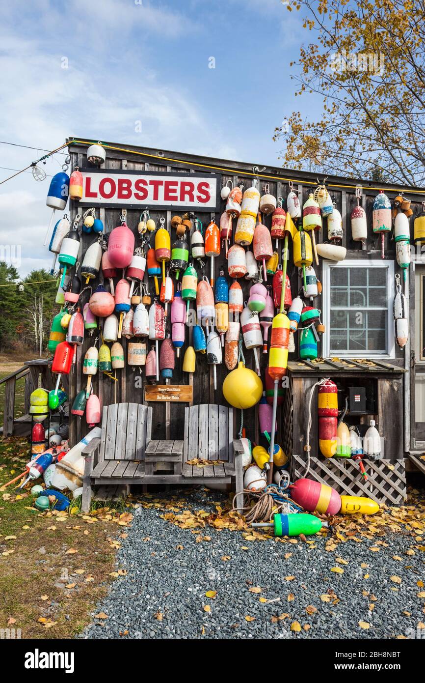Estados Unidos, Maine, Mt. Isla Desierta, Eden, la tradicional langosta shack restaurante de mariscos, otoño Foto de stock