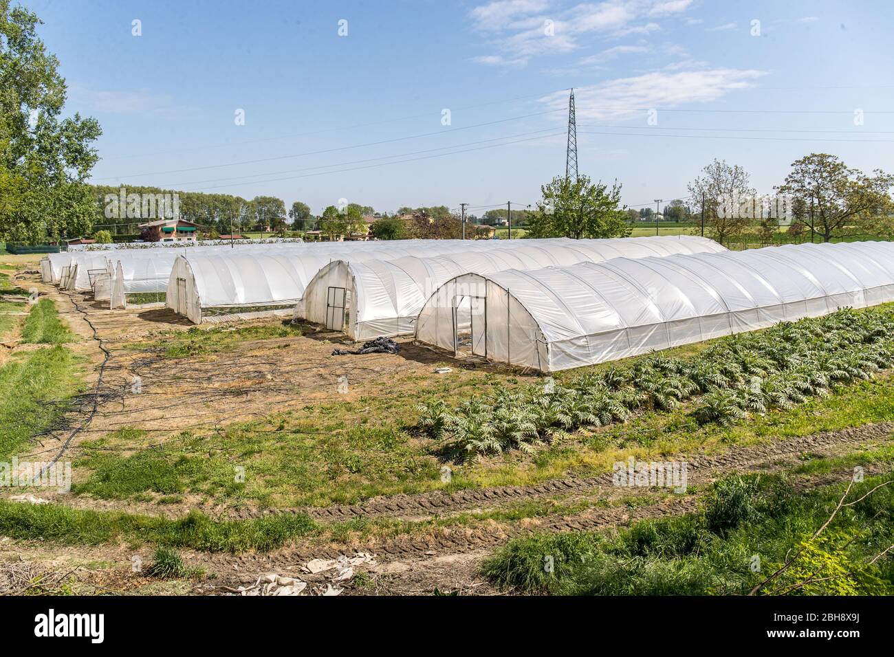 Ferrara, Italia. 22 de abril de 2020. Invernaderos con frutas y verduras en la comunidad de recuperación “Casa di Stefano” (Casa de Stefano) en Ferrara, ITA Foto de stock