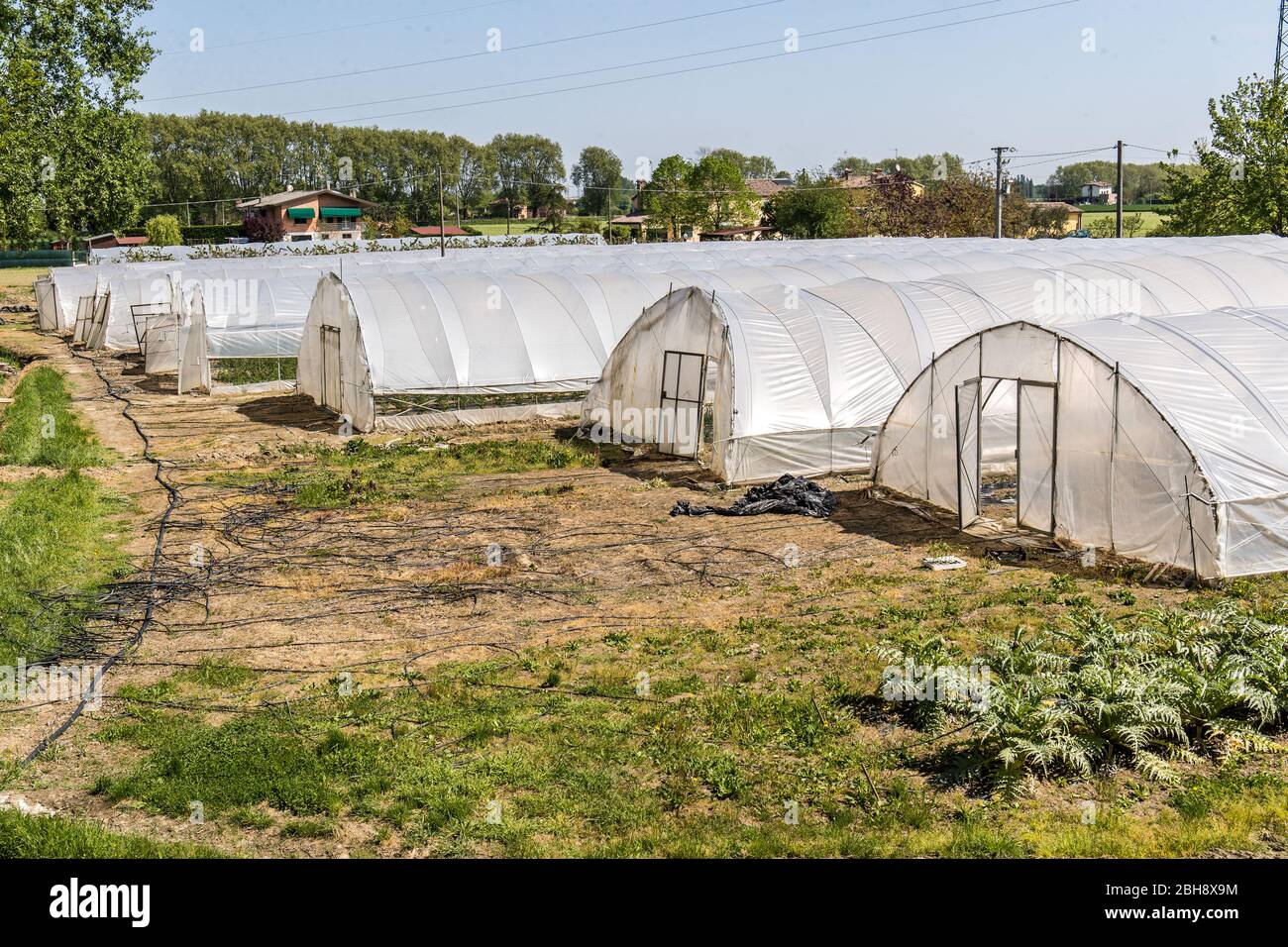 Ferrara, Italia. 22 de abril de 2020. Invernaderos con frutas y verduras en la comunidad de recuperación “Casa di Stefano” (Casa de Stefano) en Ferrara, ITA Foto de stock