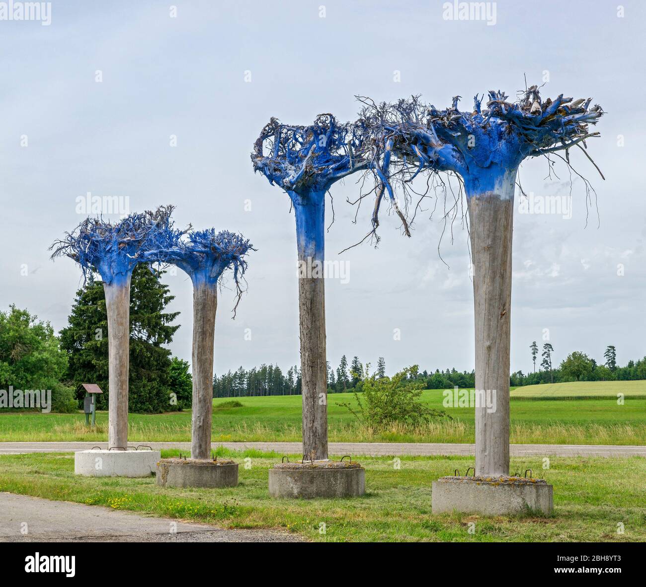 Deutschland, Baden-Württemberg, Pfalzgrafenweiler, 'Vier Blaue Bäume' 2001, Kunst von Mathias Schweikle an der B 28 Kreuzung Durrweiler / Kälberbronn. Das Kunstwerk ist ein Mahnmal für den Klimaschutz Foto de stock