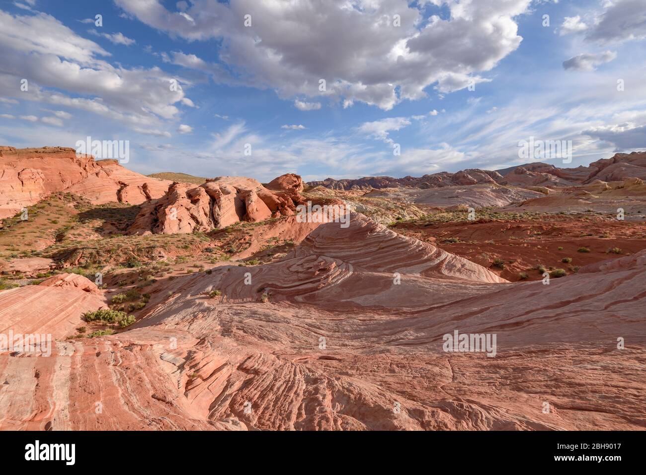 Rote geschwungene Felsformationen im Valley of Fire State Park en Nevada mit der Felsformation 'la onda' Foto de stock