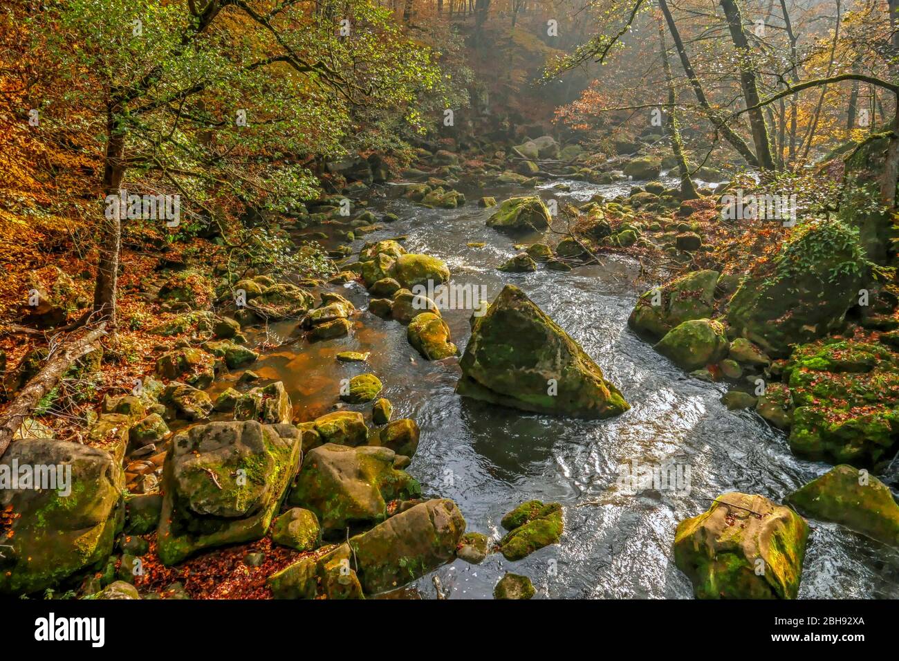 Río Prüm en las cascadas de Irrel cerca de Irrel, reserva natural del sur de Eifel, Renania-Palatinado, Alemania Foto de stock