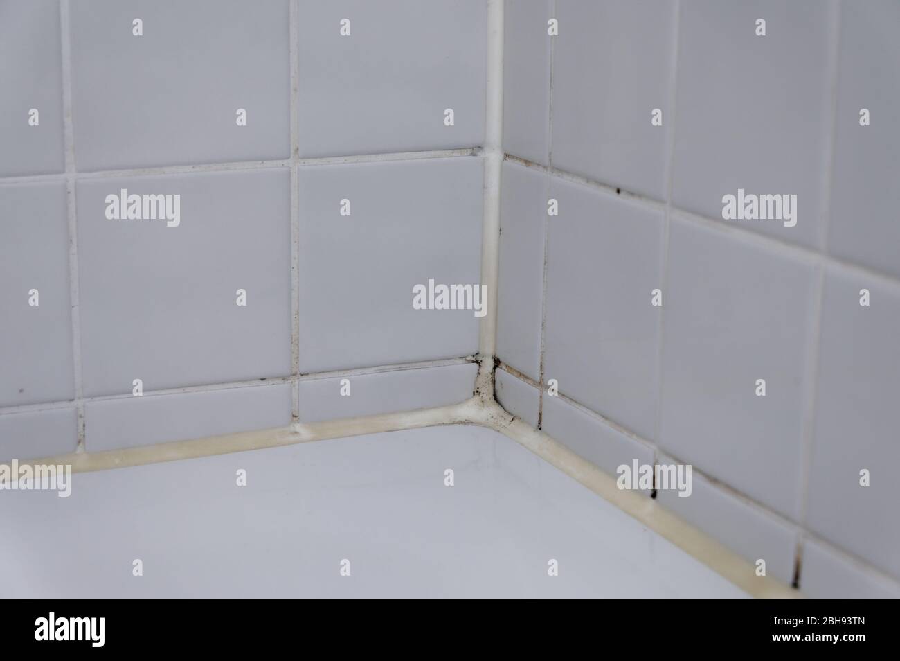 Lechada azulejos fotografías e imágenes de alta resolución - Alamy