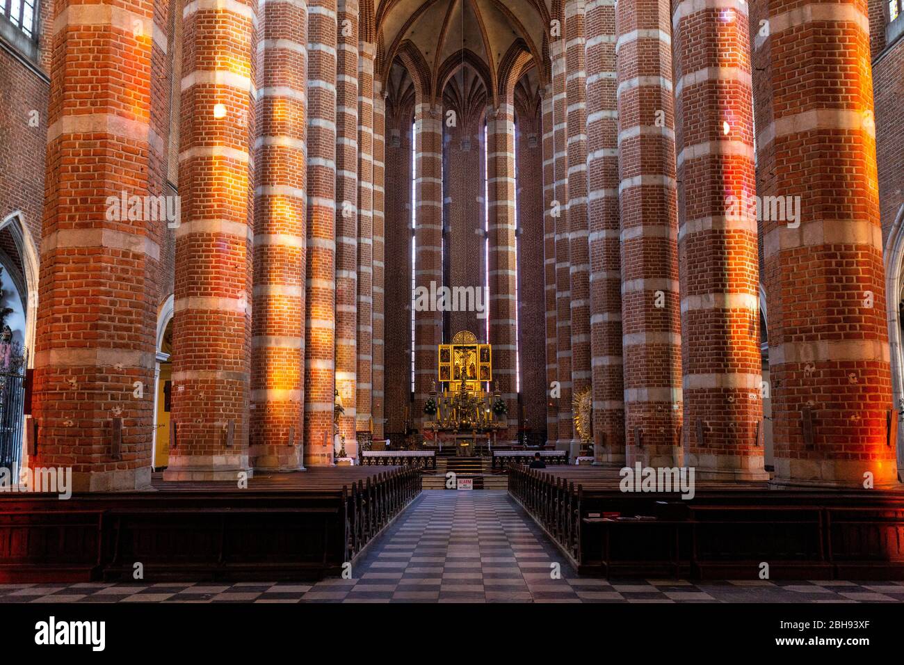 Europa, Polonia, Opole Voivodato, Nysa - Basílica de San James y San Agnes Foto de stock