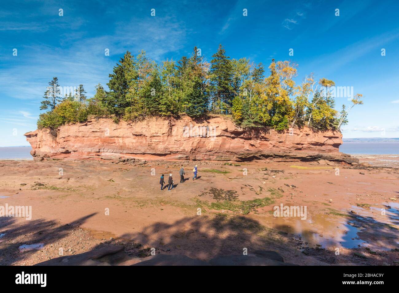 Canadá, Nueva Escocia, Jefe Burncoat Minasville, Parque en la cuenca minas, pequeña isla con marea baja. Foto de stock
