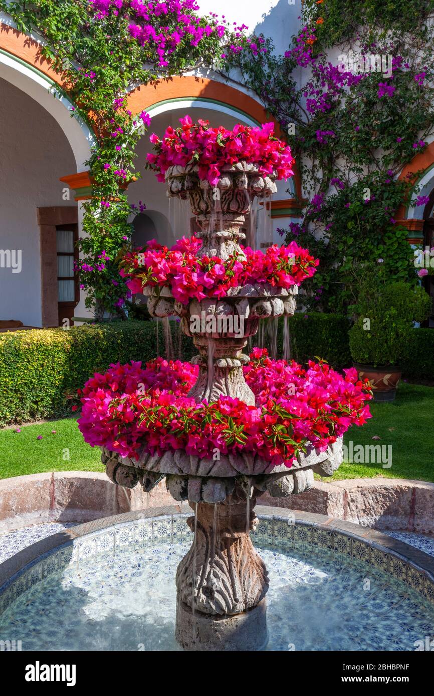 Fuente en hacienda colonial decorada con flores de buganvillas en Tequisquiapan, Querétaro, México. Foto de stock