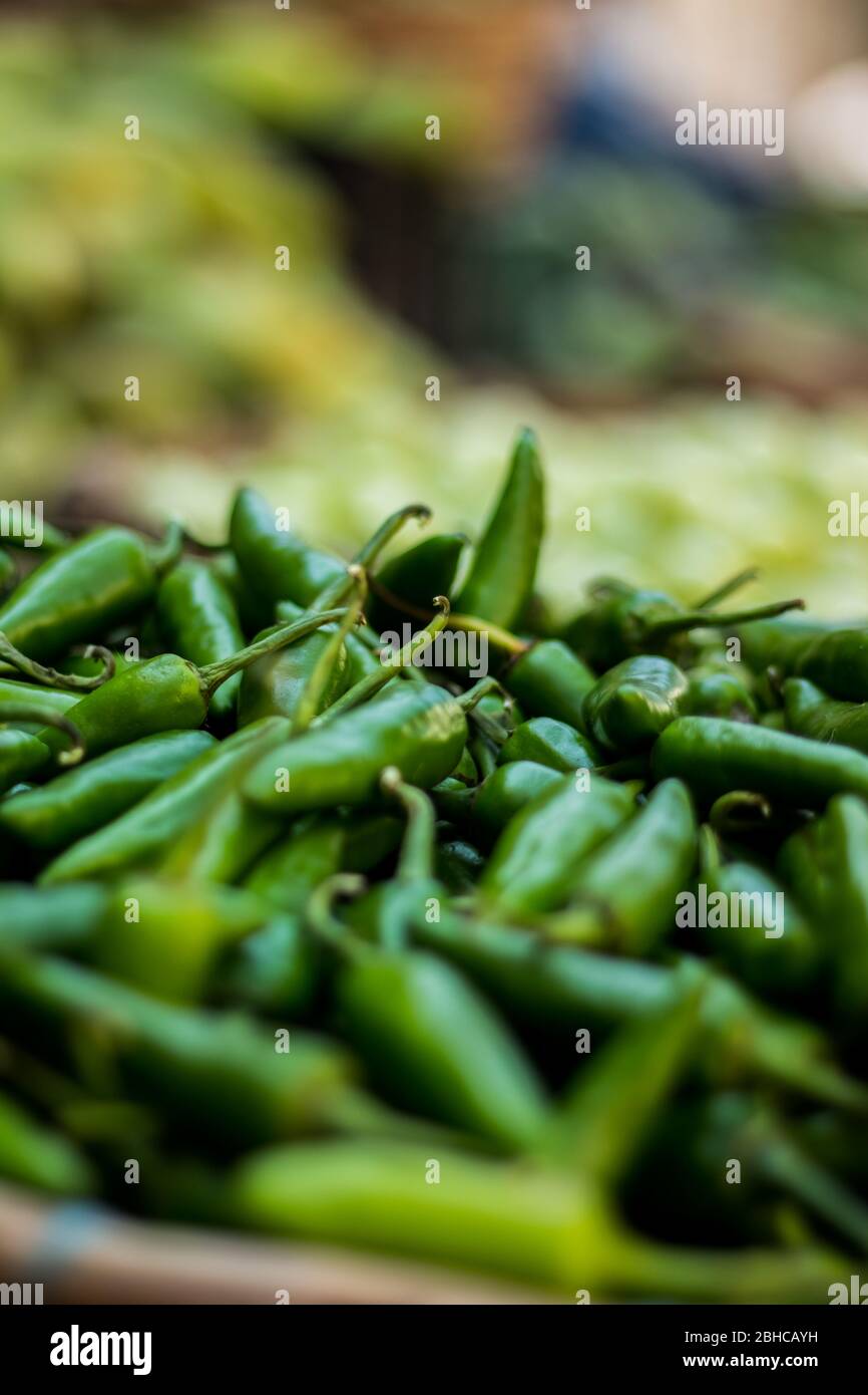 Chiles verdes para la venta en el mercado de la calle. Chiles verdes recién plegados en la granja. Mercado de productos frescos con vista de cerca de la pila de la chera verde Foto de stock