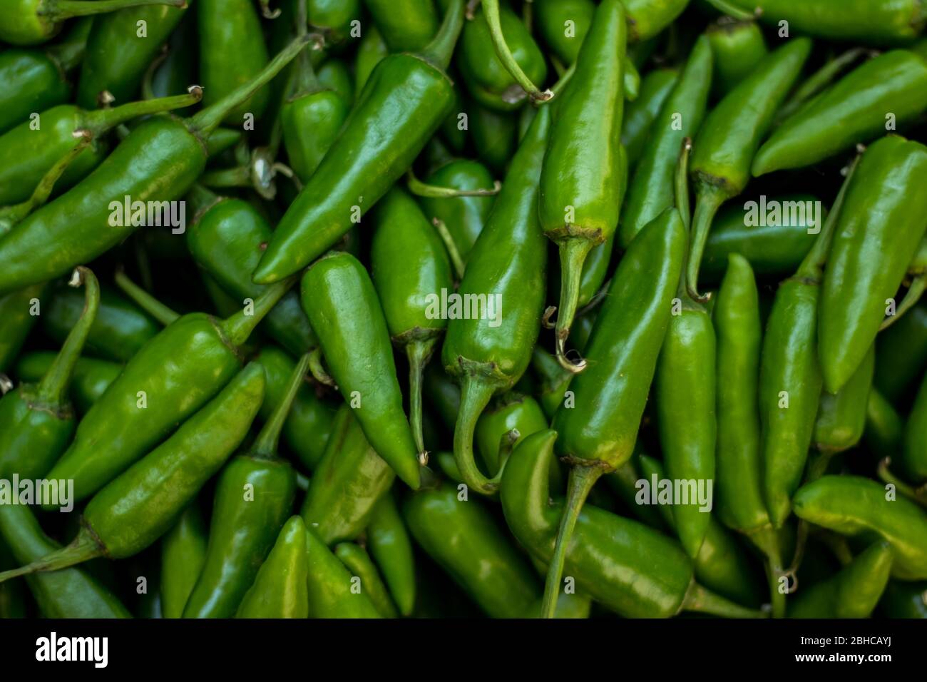 Chiles verdes para la venta en el mercado de la calle. Chiles verdes recién plegados en la granja. Mercado de productos frescos con vista de cerca de la pila de la chera verde Foto de stock