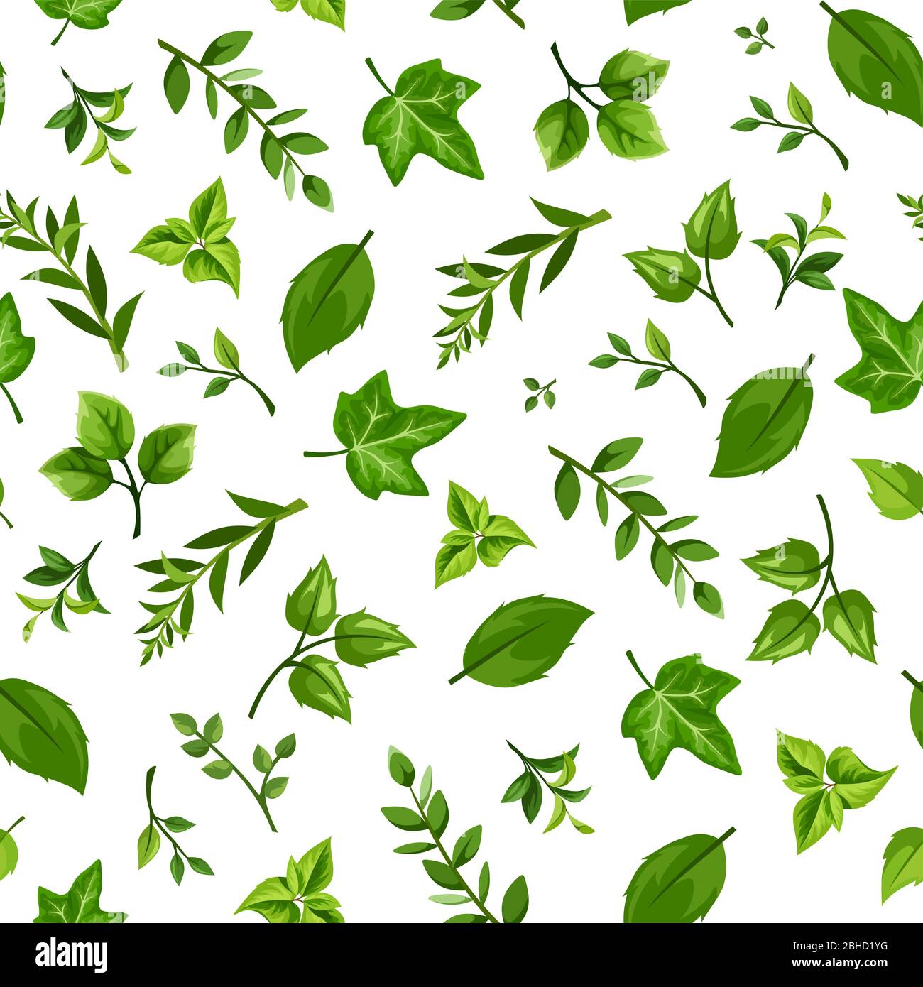 Vector patrón sin fisuras con hojas verdes sobre fondo blanco. Ilustración del Vector