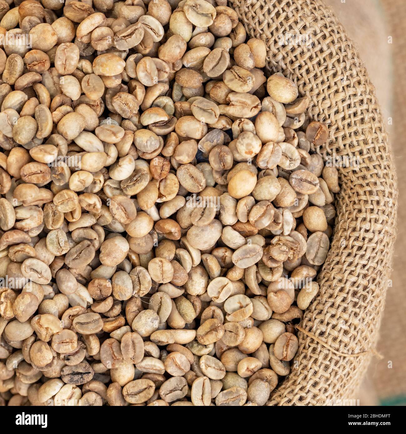 Granos de café verdes en saco de lona Foto de stock