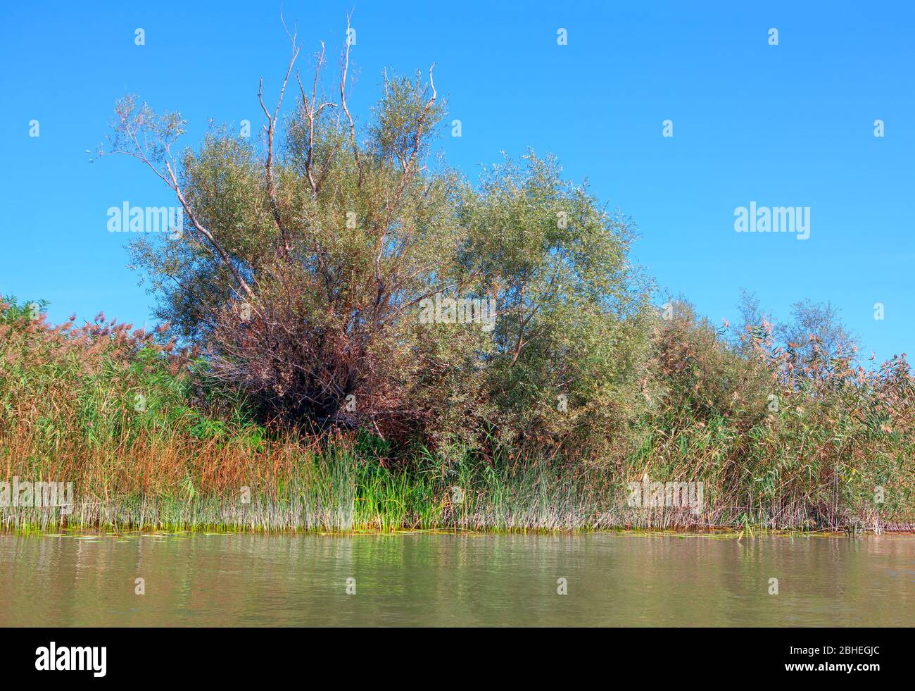 naturaleza virgen del canal de agua Foto de stock