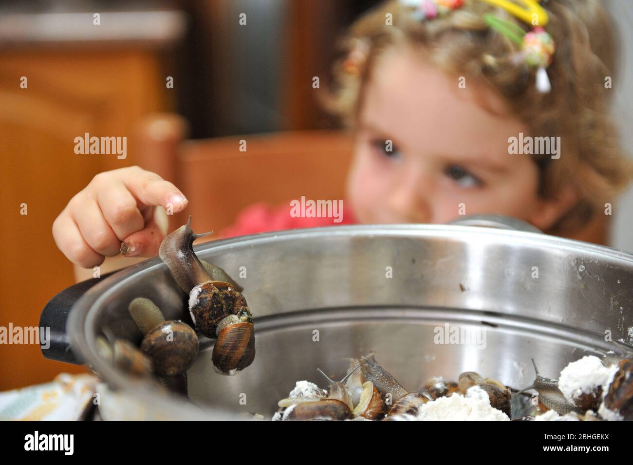 niño jugando con un dedo caracal sacando de una olla llena de caracoles Foto de stock