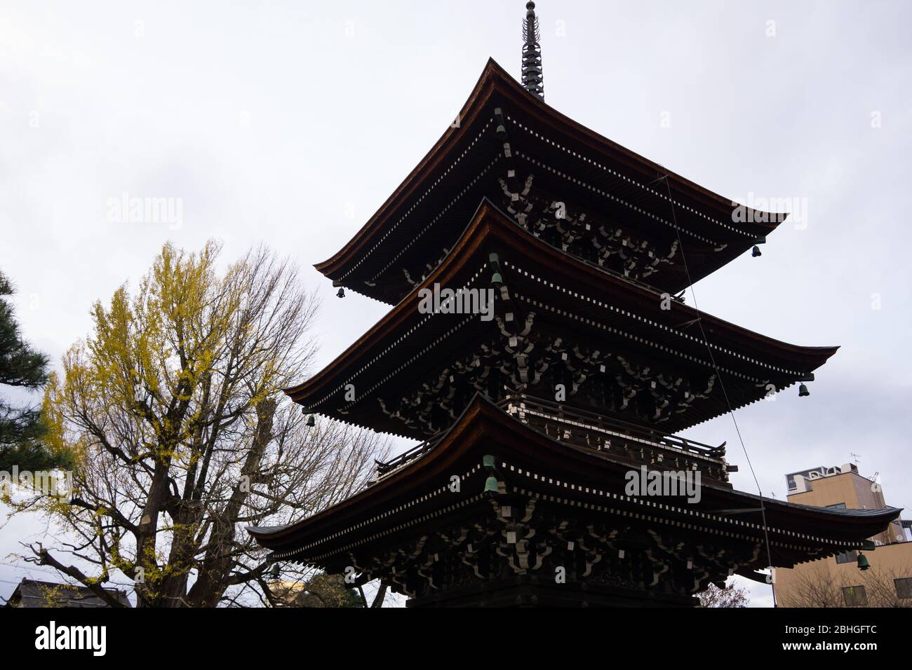 El templo Hida Kokubunji fue construido en 746, más de 1200 años, igual que el enorme árbol de ginko que hay detrás. El edificio es la estructura más antigua. Foto de stock