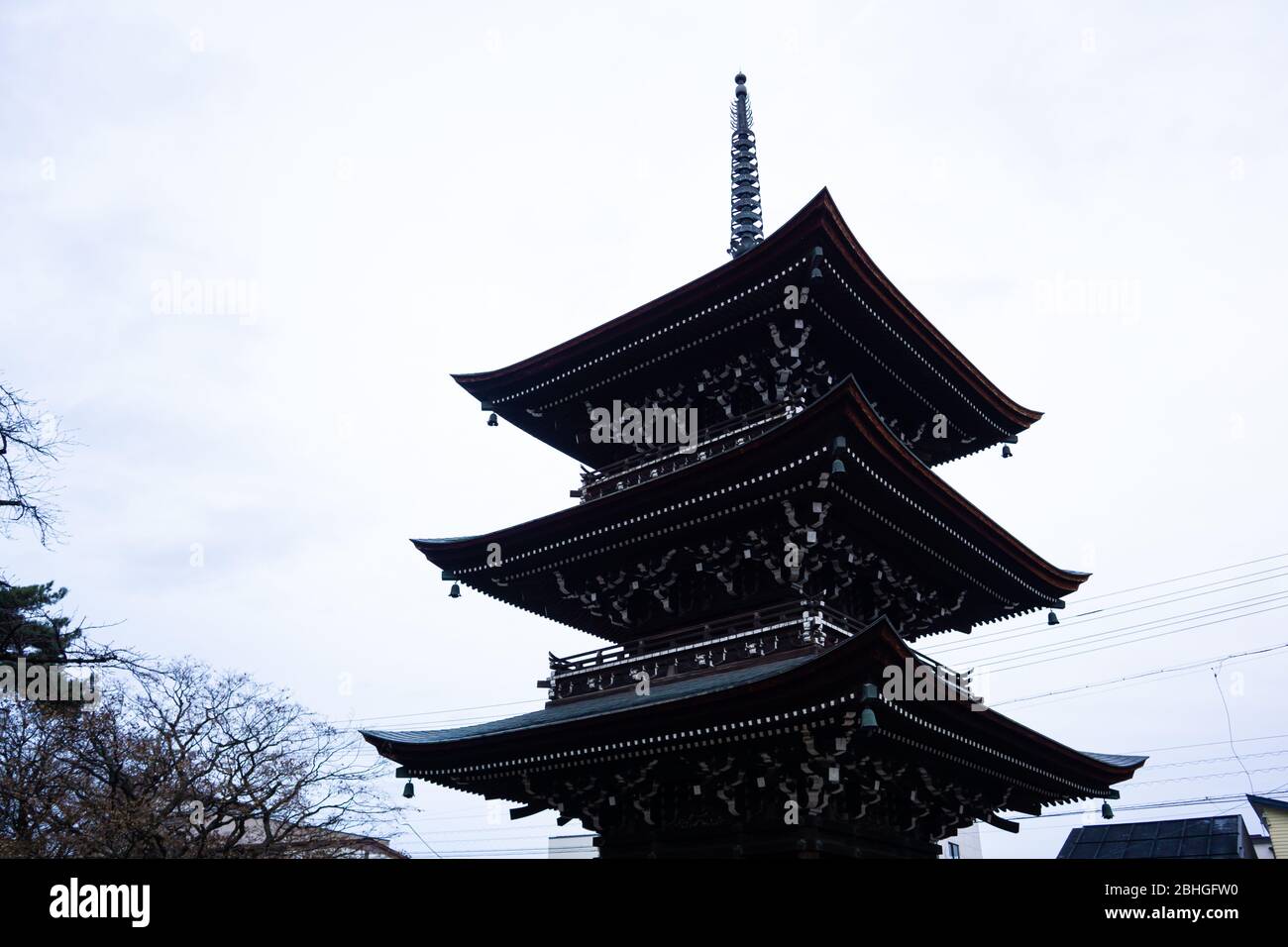 El templo Hida Kokubunji fue construido en 746, más de 1200 años, igual que el enorme árbol de ginko que hay detrás. El edificio es la estructura más antigua. Foto de stock
