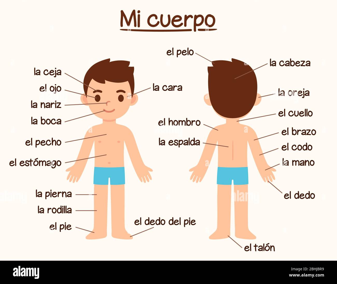 Mi cuerpo, diagrama de partes del cuerpo humano en español para el  aprendizaje de idiomas. Lindo niño con dibujos animados con etiquetas,  gráfico infográfico para niños Imagen Vector de stock - Alamy