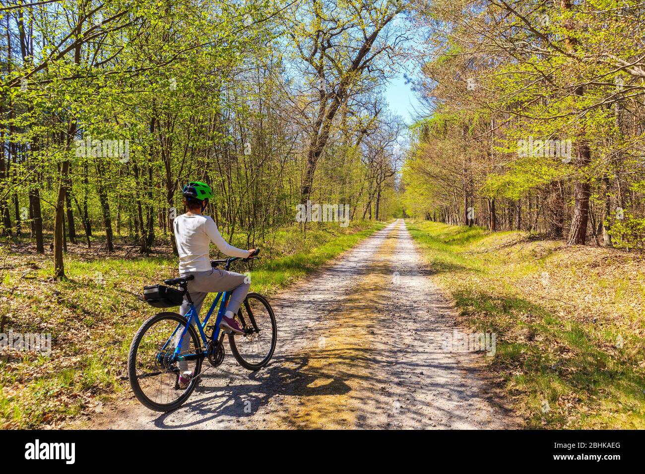 Una joven ciclista turística por carretera en el bosque en el soleado día de primavera en Puszcza Niepolomicka cerca de la ciudad de Cracovia, Polonia Foto de stock