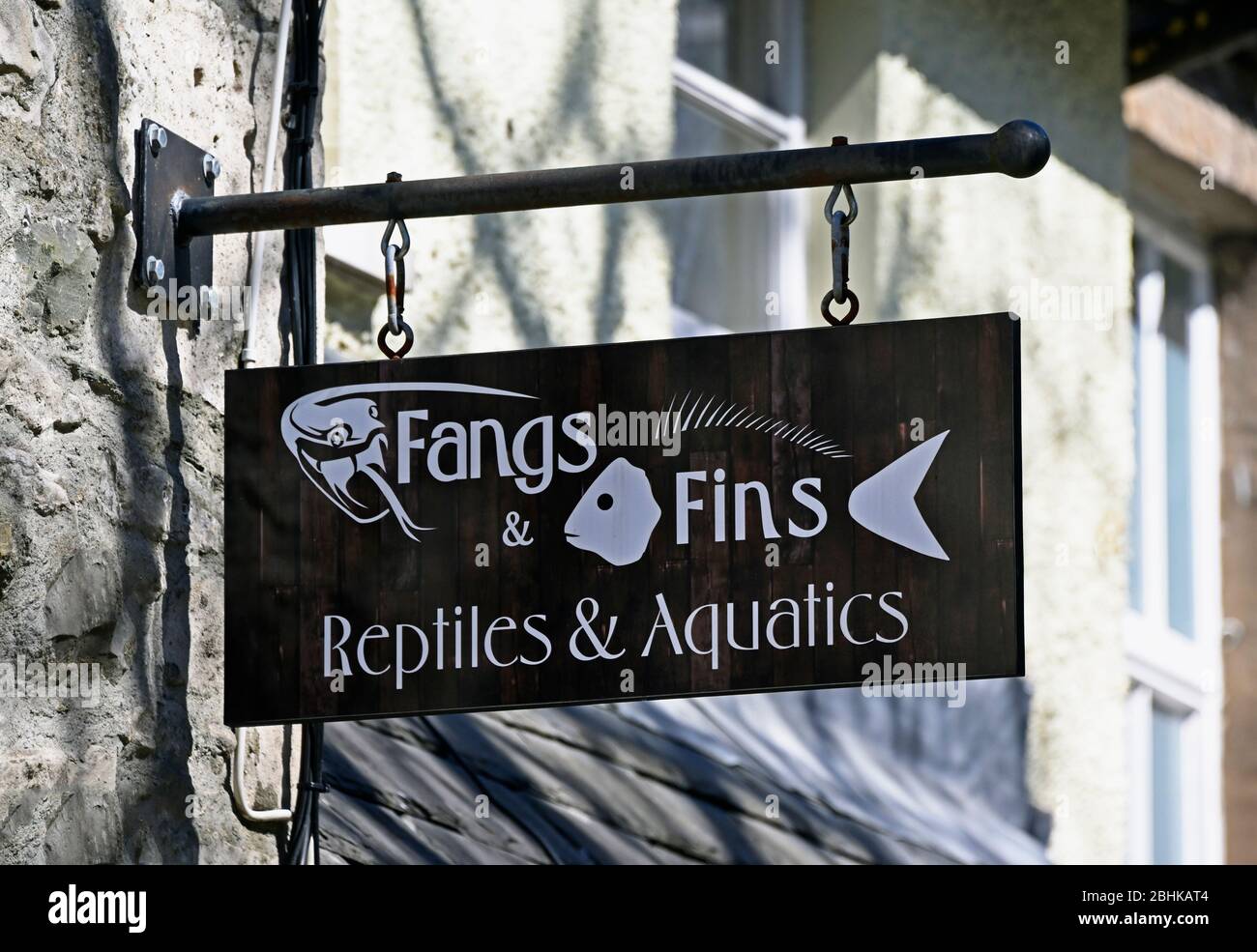 Señal de la tienda. Fangs & Fins, Reptiles & Aquatics. Blackhall Shopping Yard, Kendal, Cumbria, Inglaterra, Reino Unido, Europa. Foto de stock
