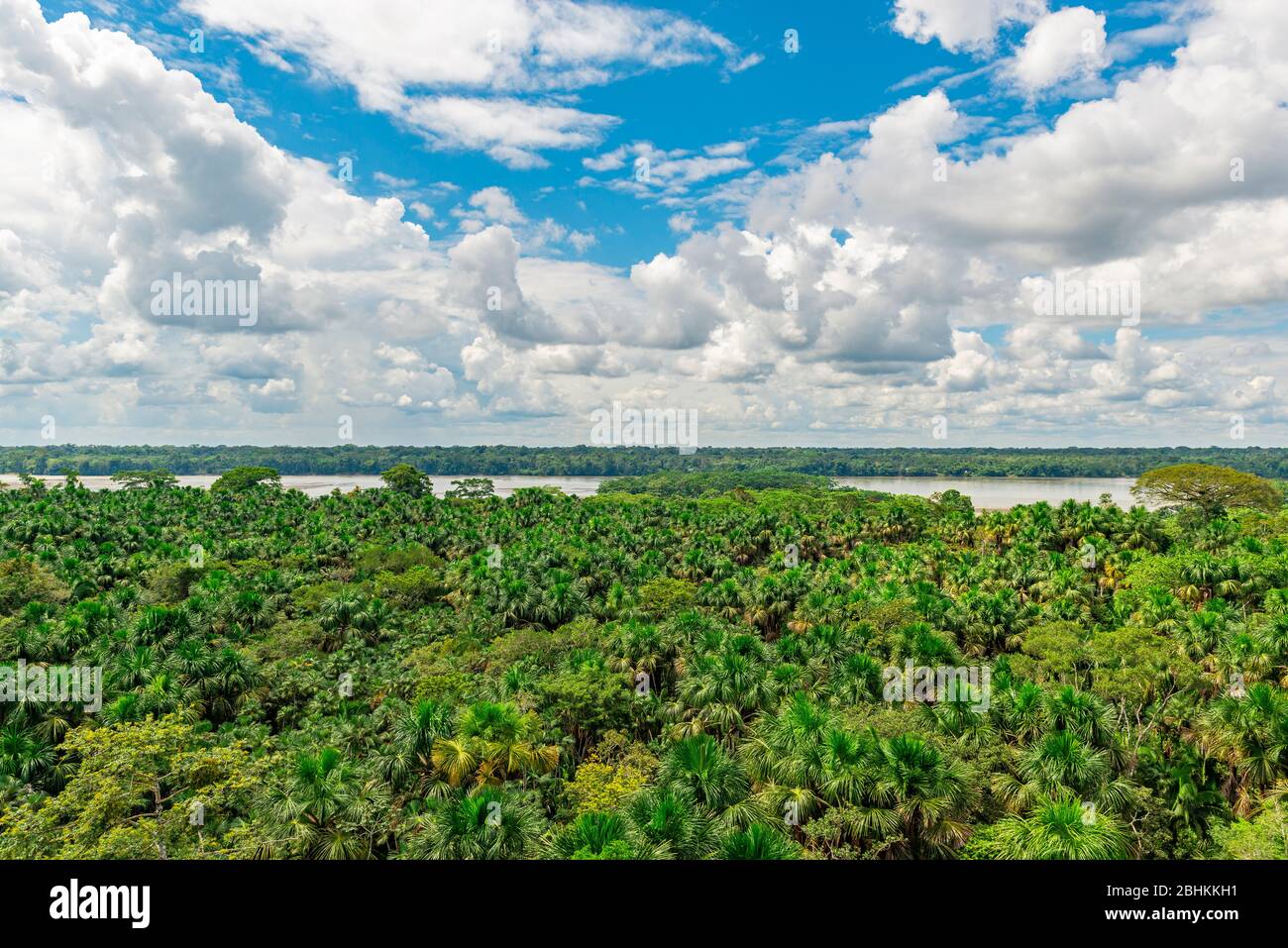Vista aérea de la selva amazónica y del río Napo, Parque Nacional Yasuní, Ecuador. Foto de stock