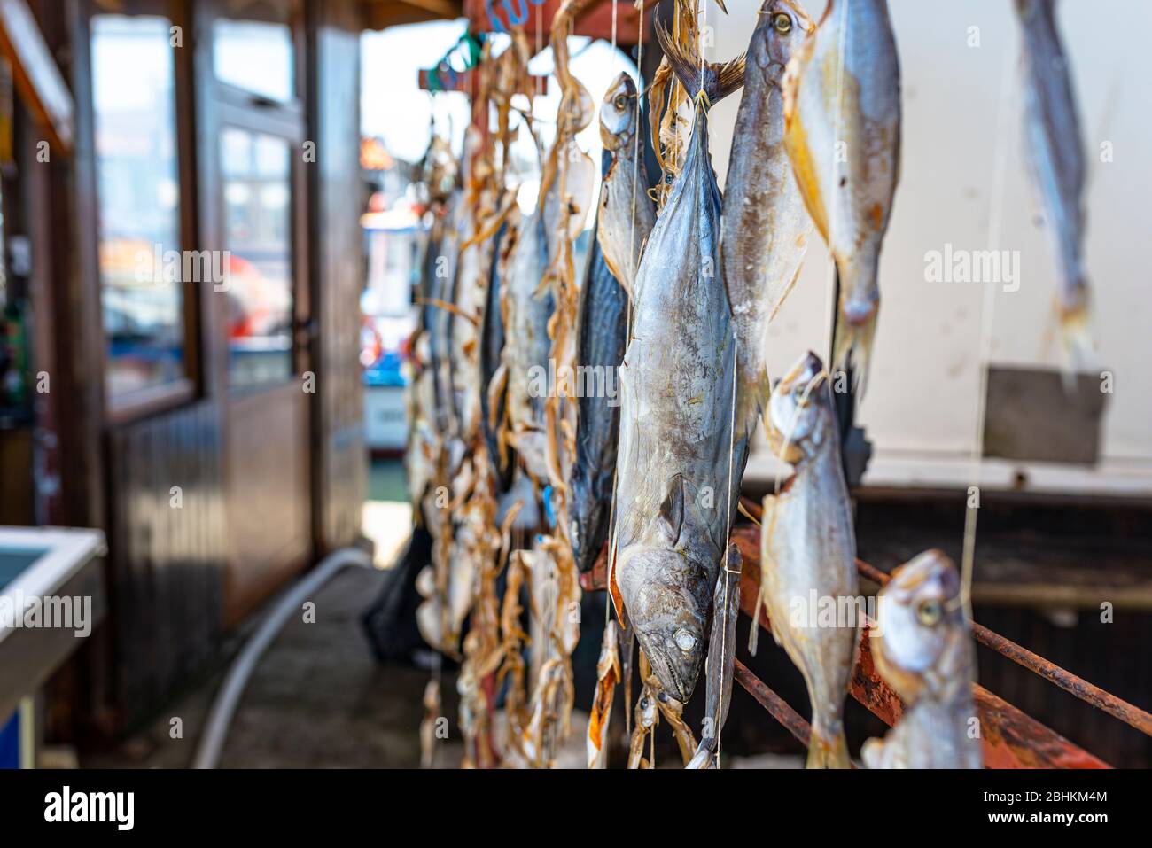 Pescado seco de mar colgado en ganchos en un mercado de pescado local. Foto de stock