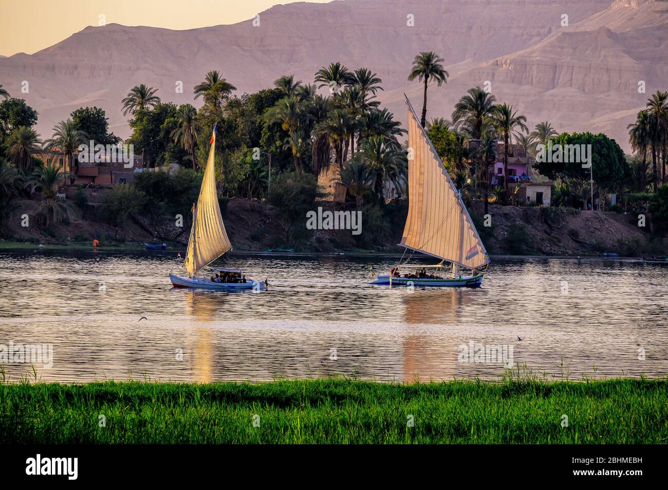 Feluccas navegando desde la Isla de los Reyes en el río Nilo al atardecer Foto de stock