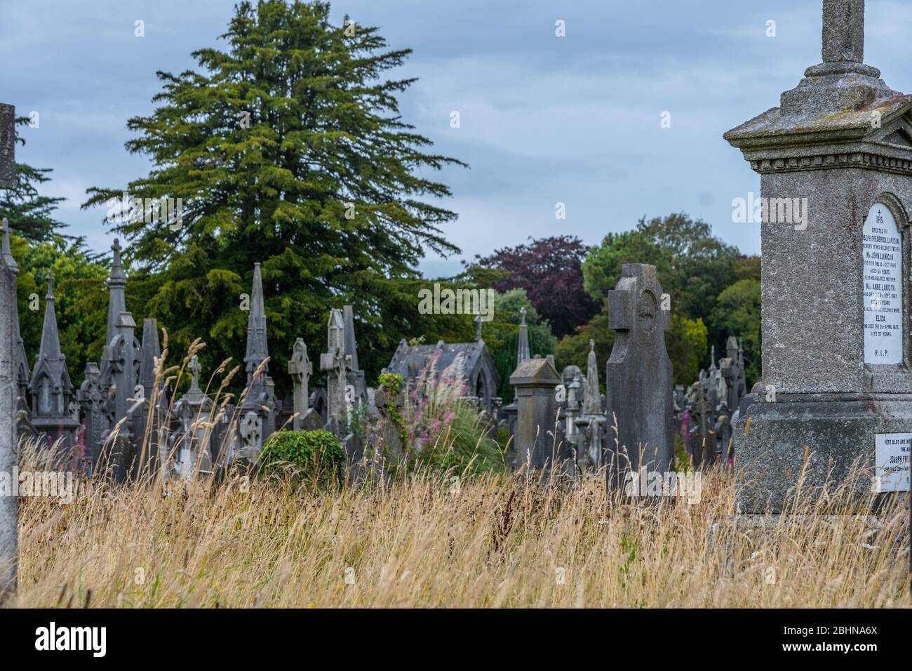 El cementerio Glasnevin fue fundado en 1831 y es el cementerio más grande de Irlanda. Más de un millón de personas fueron enterradas aquí. Foto de stock