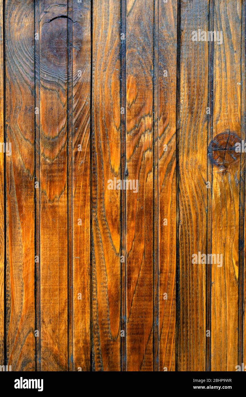 Tablas barnizadas. Escudo de madera hecho de tablas barnizadas