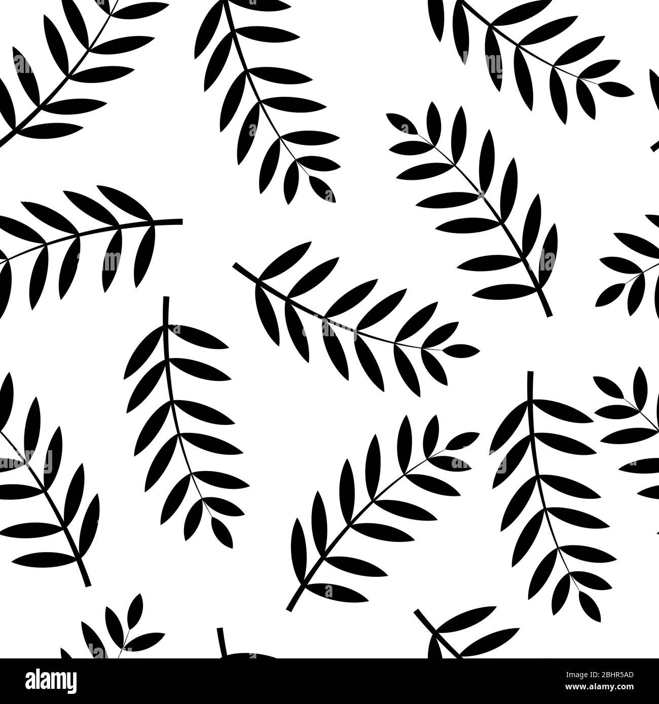 Diseño floral sin costuras. Ramitas negras con hojas finas. Adecuado para  imprimir papel textil o papel de embalaje Fotografía de stock - Alamy