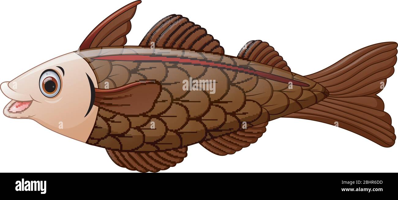 dibujos animados de bacalao Imagen Vector de stock - Alamy