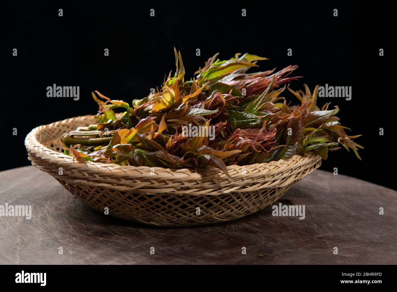 Un montón de hojas de toon Foto de stock